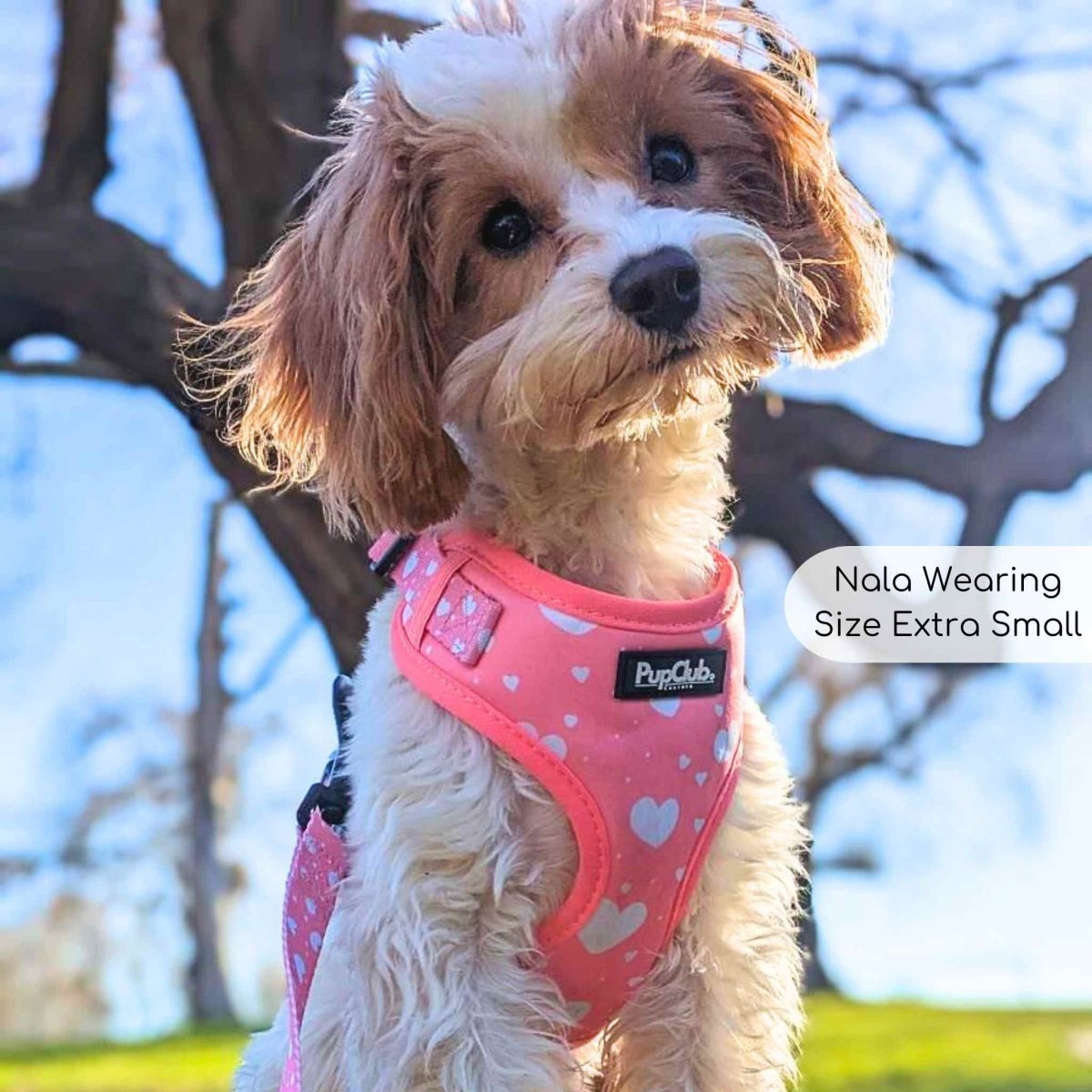 Adjustable Harness - Peachy Hearts - The Bark Market
