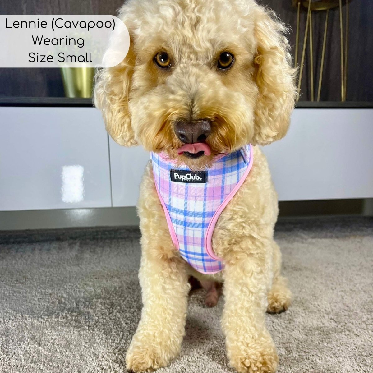 Adjustable Harness - Pink Tartan - The Bark Market