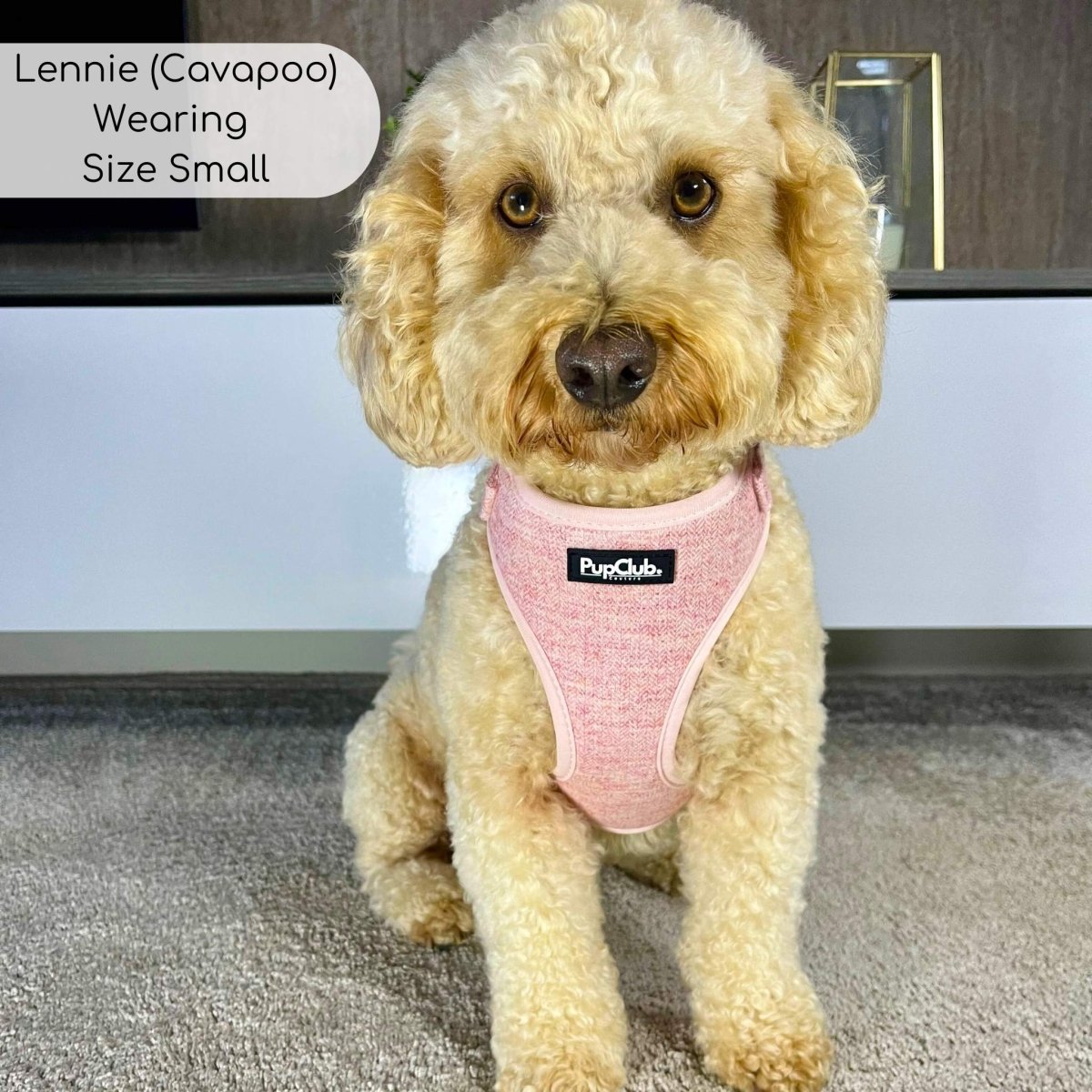 Tweed Adjustable Harness - Pink - The Bark Market