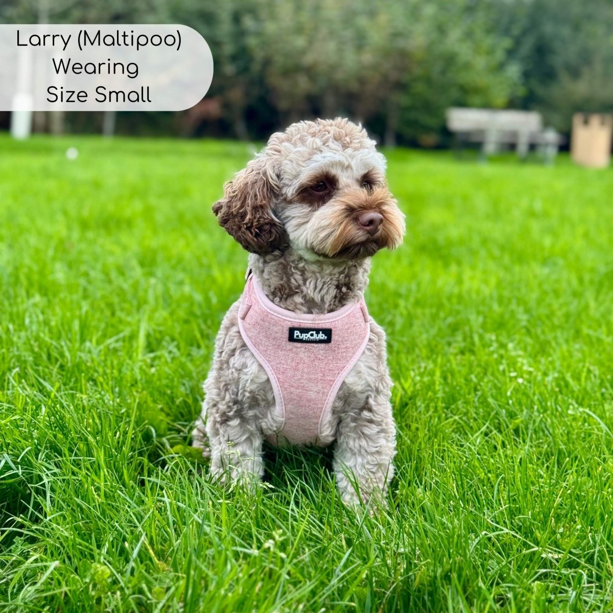 Tweed Adjustable Harness - Pink - The Bark Market