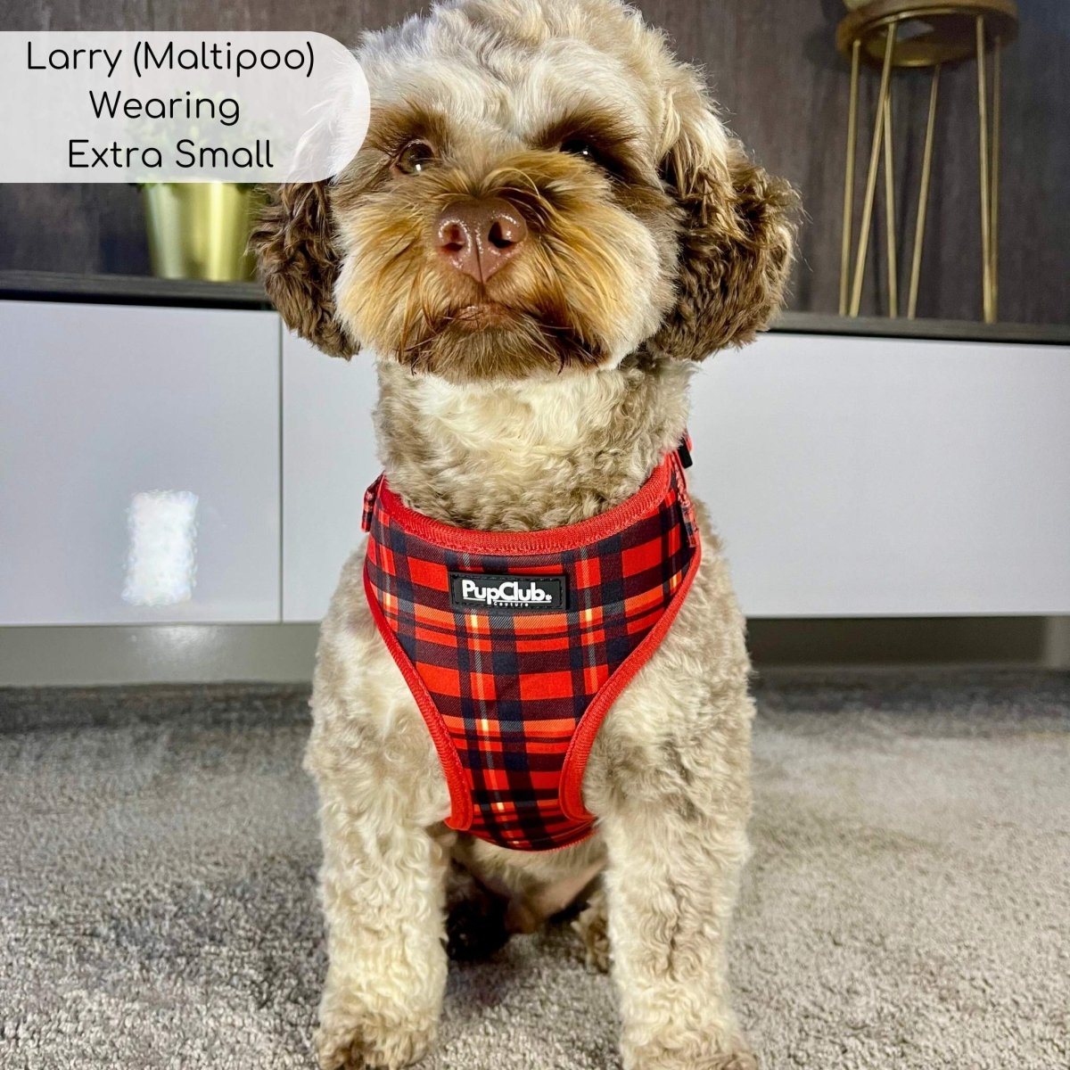 Adjustable Harness - Red Tartan - The Bark Market