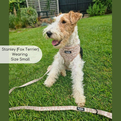 Luxe Adjustable Harness - Toffee Latte Petals - The Bark Market