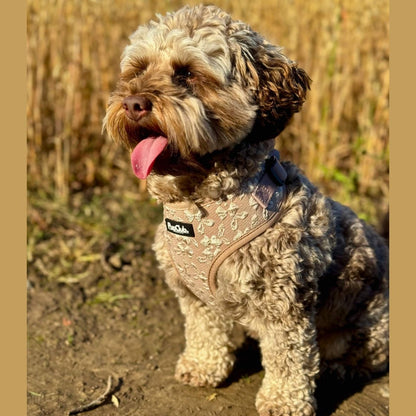 Luxe Adjustable Harness - Toffee Latte Petals - The Bark Market