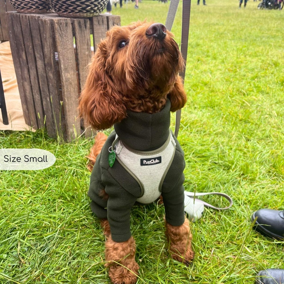 Tweed Adjustable Harness - Sage - The Bark Market
