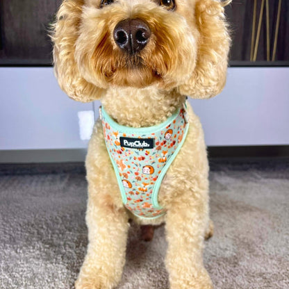 Adjustable Harness - Woodland Friends - The Bark Market