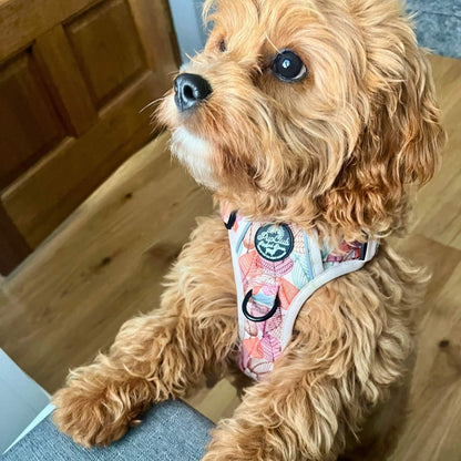 Adjustable Harness - Autumn Breeze - The Bark Market