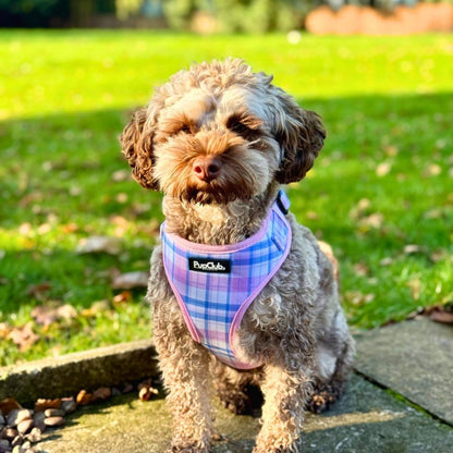 Adjustable Harness - Pink Tartan - The Bark Market