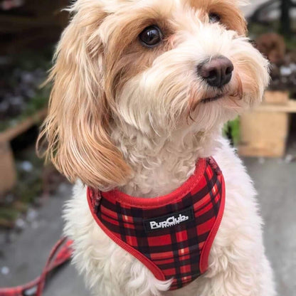 Adjustable Harness - Red Tartan - The Bark Market