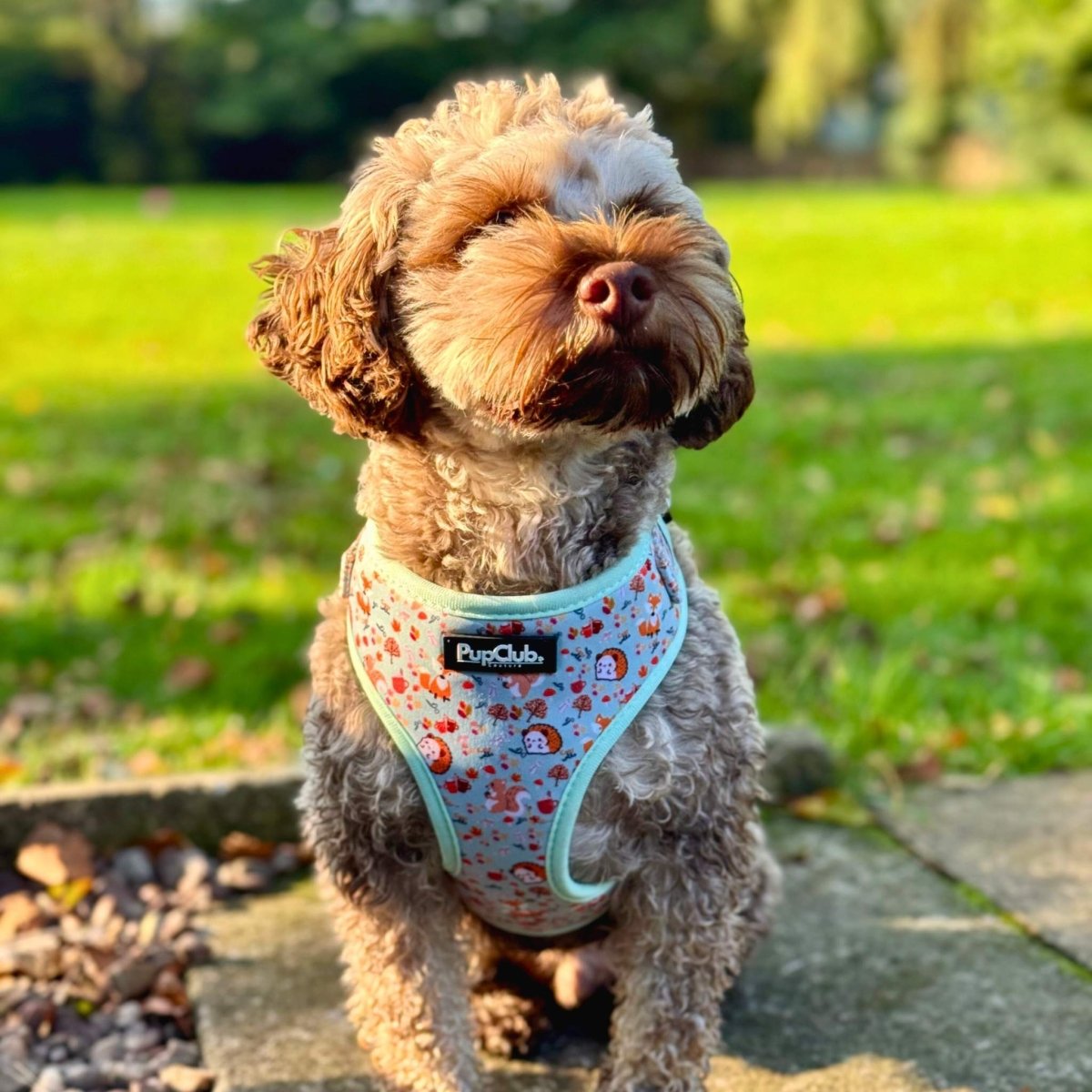 Adjustable Harness - Woodland Friends - The Bark Market