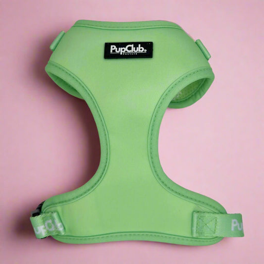 Adjustable Harness - Pastel Mint Green - The Bark Market