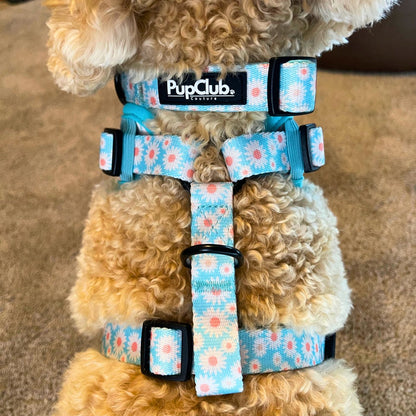 Adjustable Harness - Pastel Daisy - The Bark Market