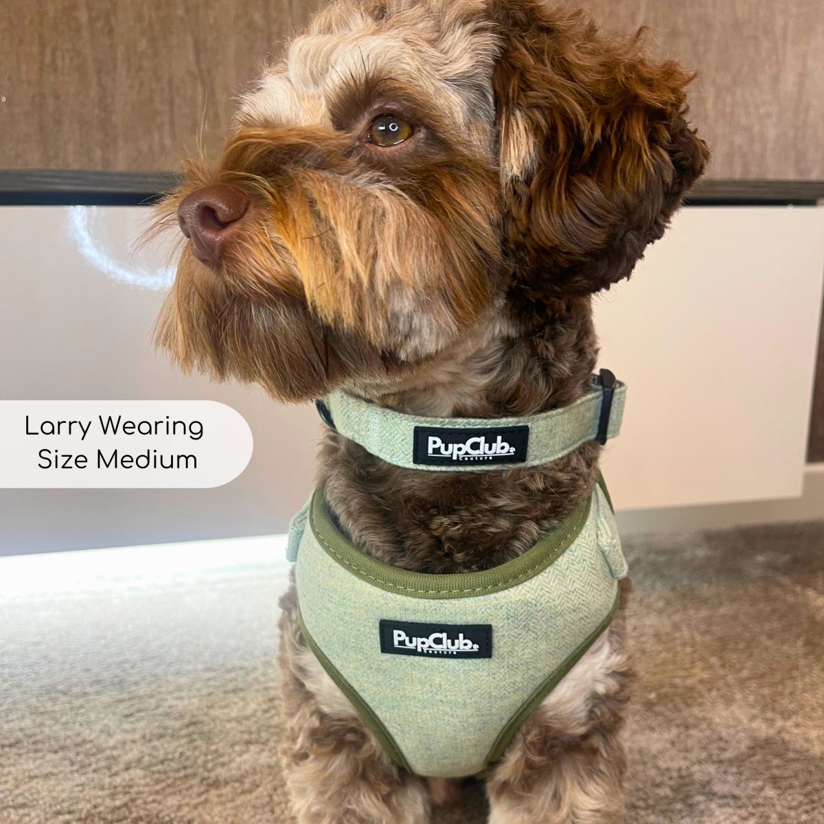 Tweed Adjustable Harness - Sage - The Bark Market