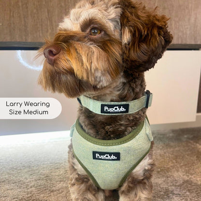 Tweed Adjustable Harness - Sage - The Bark Market