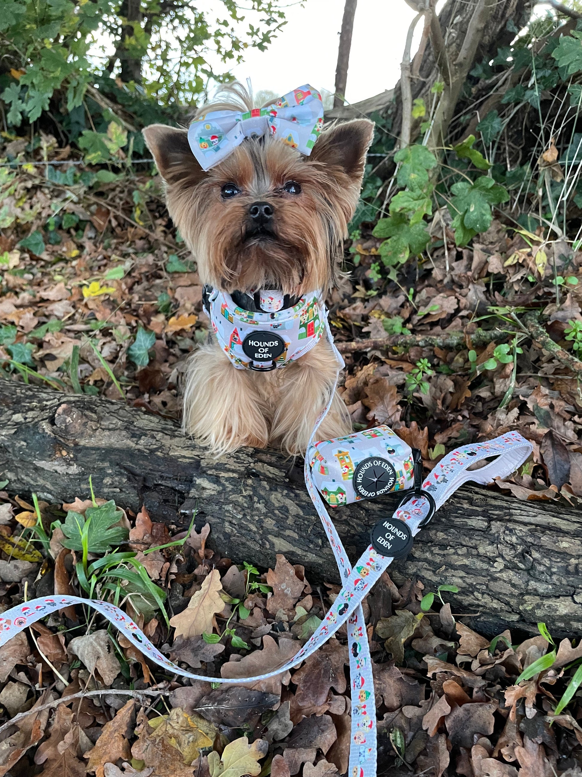 Doggy in the Window Design Dog Harness - The Bark Market