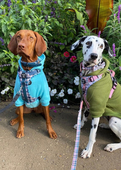 Dog Hoodie - Light Pink - The Bark Market
