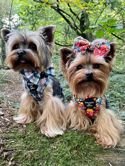 Tealing Smart Dog Harness (XXS & XS) - The Bark Market