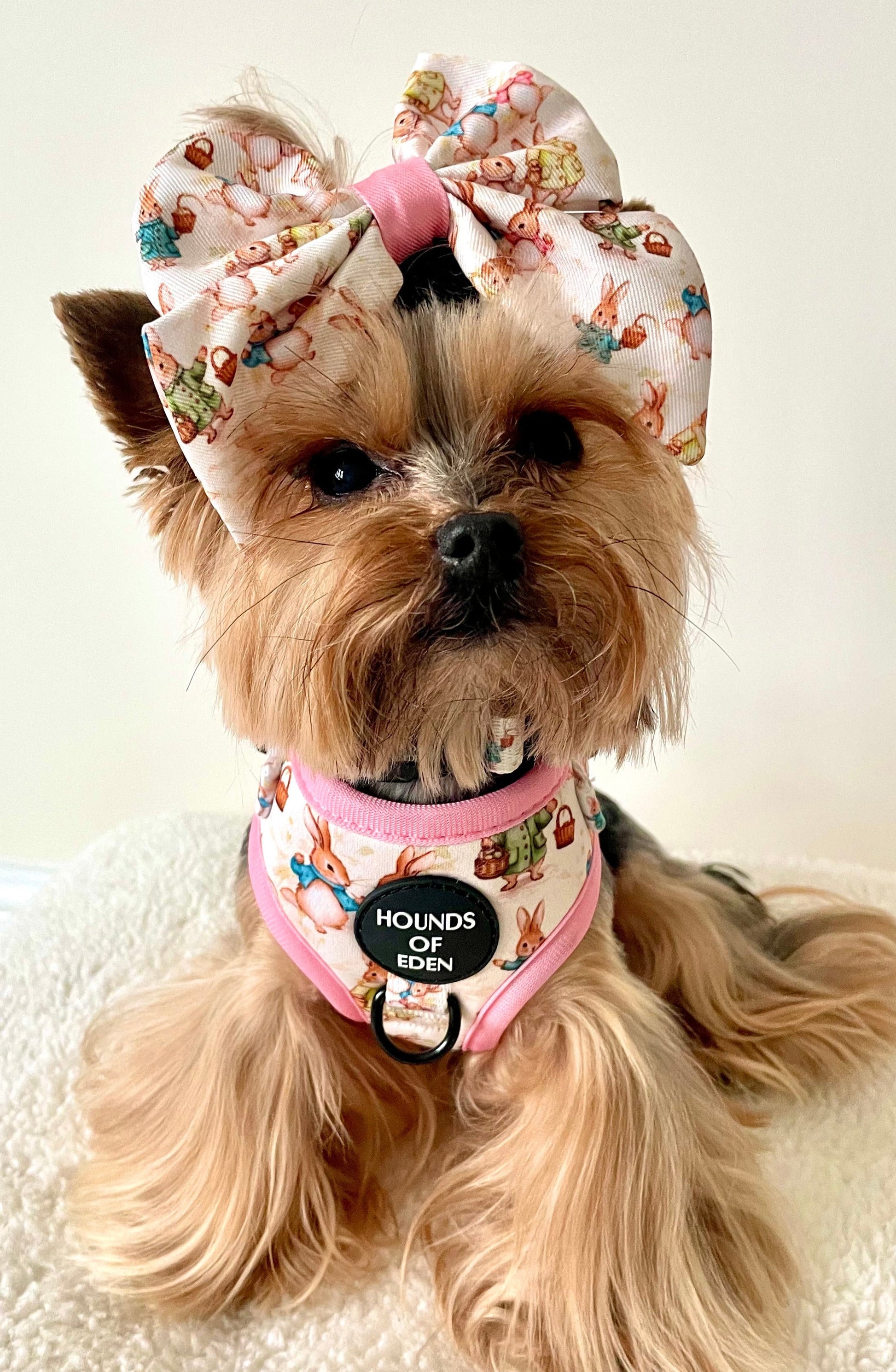 Bunny Tales - Pink, Dog Harness (XXS-XS) - The Bark Market