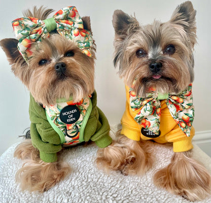 Simply the Zest - Oranges Dog Bow Tie - The Bark Market