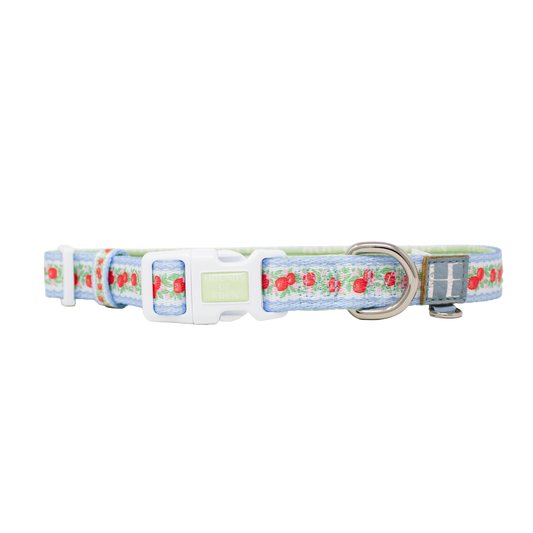 Eden's Orchard - Dog Collar + ID Tag Holder - The Bark Market