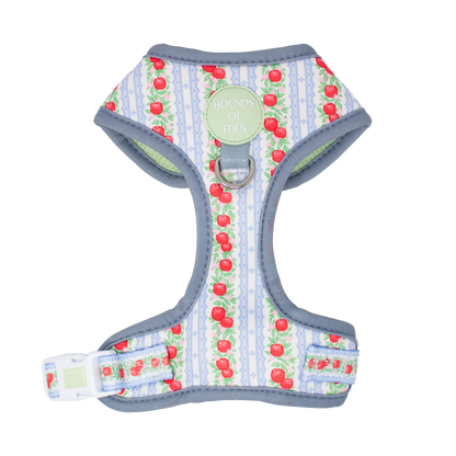 Eden's Orchard - Adjustable Dog Harness (XXS-XS) - The Bark Market