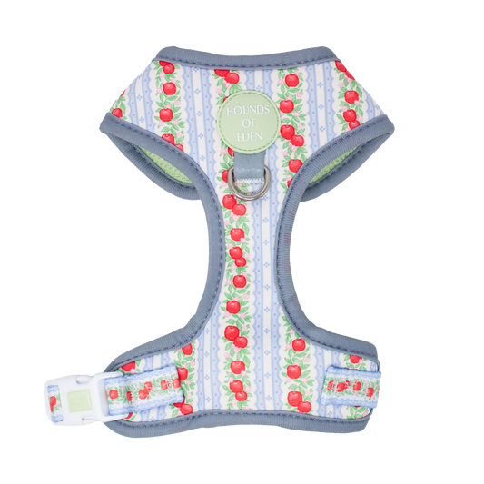 Eden's Orchard - Adjustable Dog Harness (XXS-XS) - The Bark Market