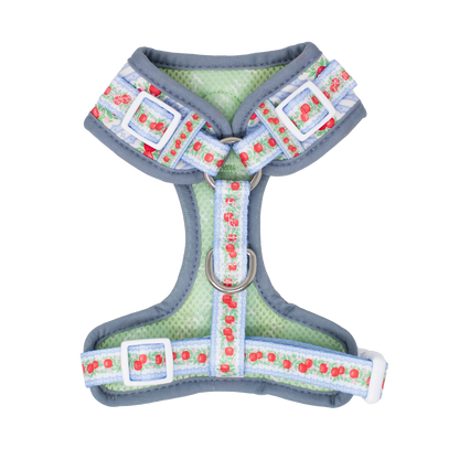 Eden's Orchard - Adjustable Dog Harness (XXS-XS) - The Bark Market