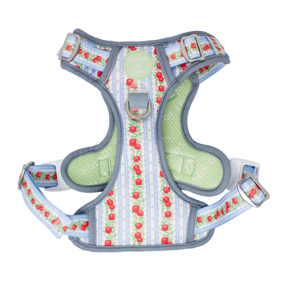 Eden's Orchard -  Supaw Strong™ Dog Harness (XS-XL) - The Bark Market