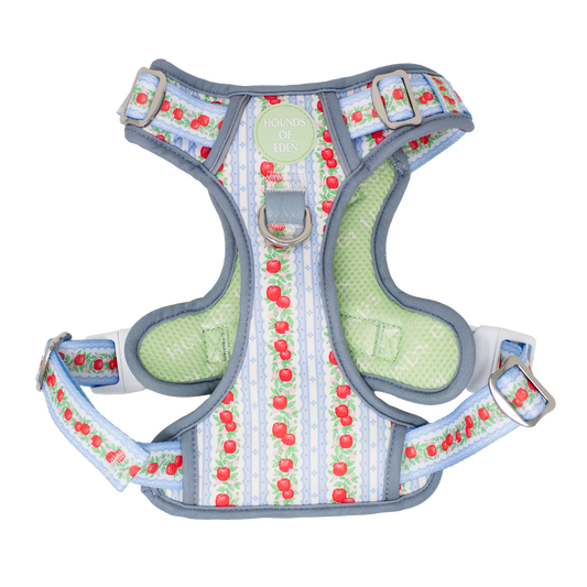 Eden's Orchard -  Supaw Strong™ Dog Harness (XS-XL) - The Bark Market