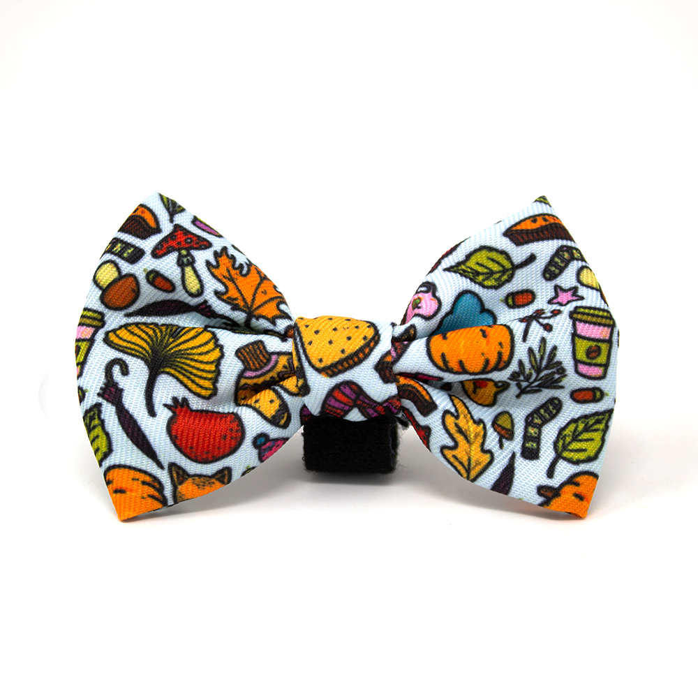 Country Pupkin - Autumnal Doodle Dog Collar - The Bark Market