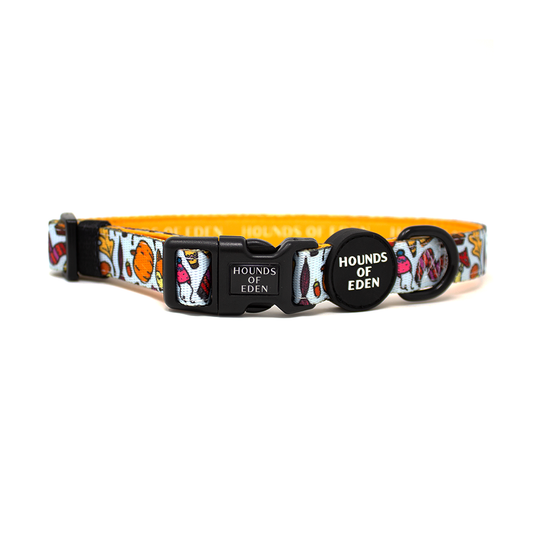 Country Pupkin - Autumnal Doodle Dog Collar - The Bark Market