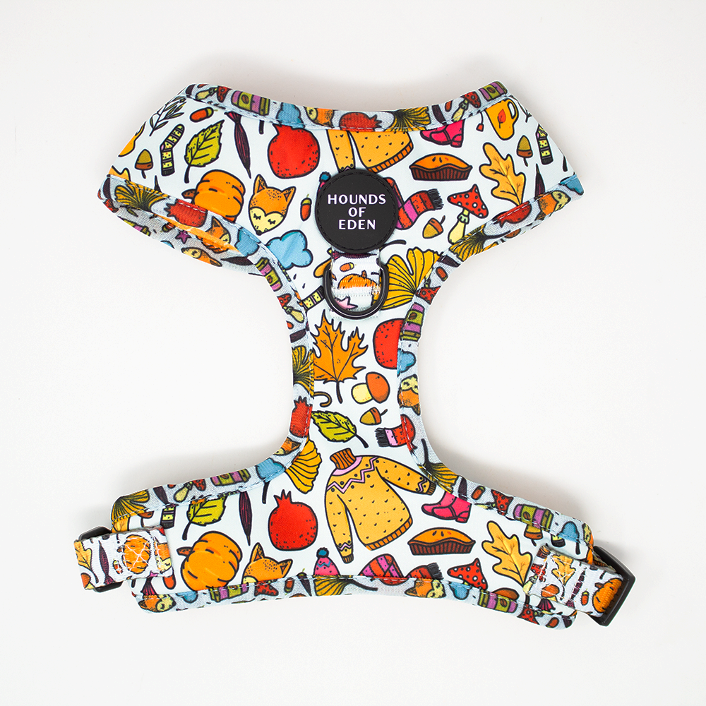 Country Pupkin - Autumnal Doodle Dog Collar - The Bark Market