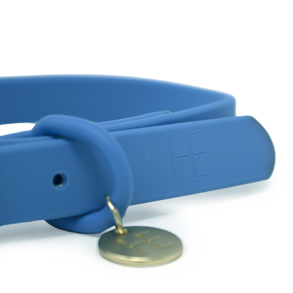 Lichen Blue 'All Weather' Dog Collar - The Bark Market