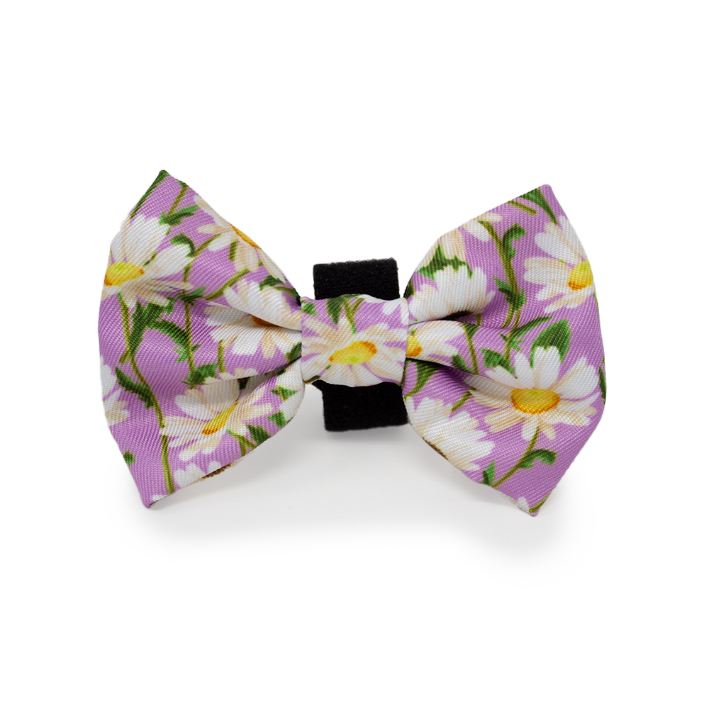 Daisy Dreams Design Dog Harness - The Bark Market