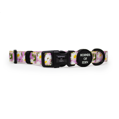 Daisy Dreams Design Dog Harness - The Bark Market