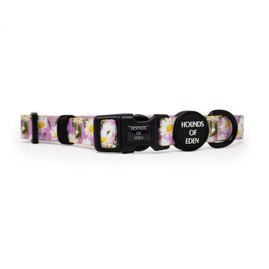 Daisy Dreams Design Dog Collar - The Bark Market