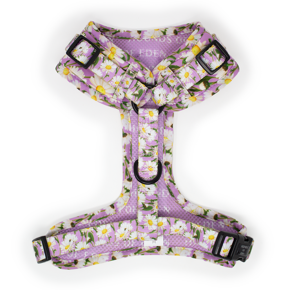 Daisy Dreams Design Dog Harness - The Bark Market