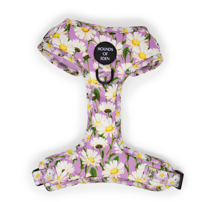 Daisy Dreams Design Dog Harness - The Bark Market