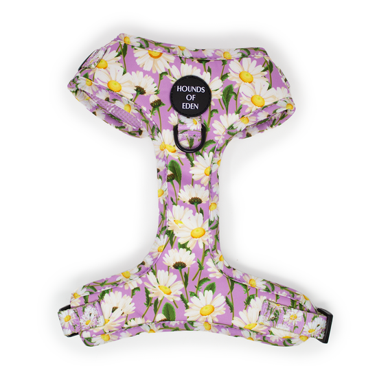 Daisy Dreams Design Dog Harness - The Bark Market