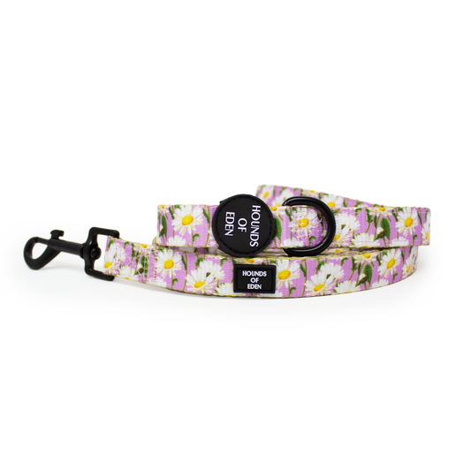 Daisy Dreams Design Dog Lead - The Bark Market
