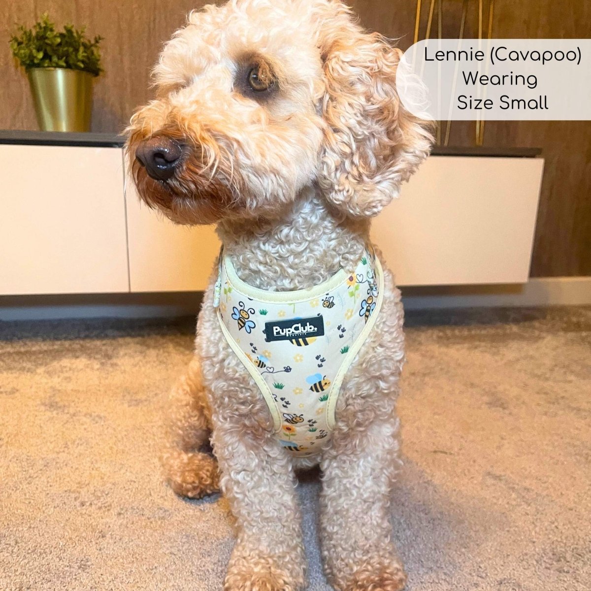 Adjustable Harness - Bee-utiful Summer - The Bark Market