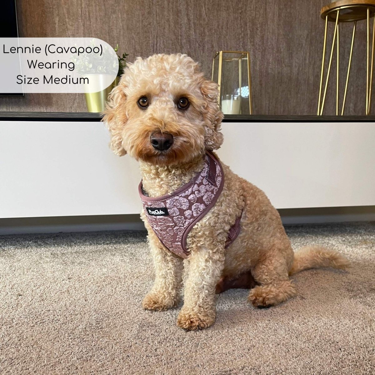 Luxe Adjustable Harness - Mocha Petals - The Bark Market