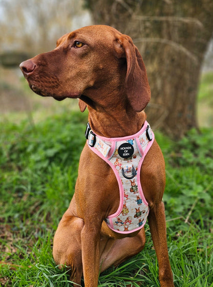 Bunny Tales - Pink, Dog Supaw Strong™ Lite Harness (XS-XL) - The Bark Market