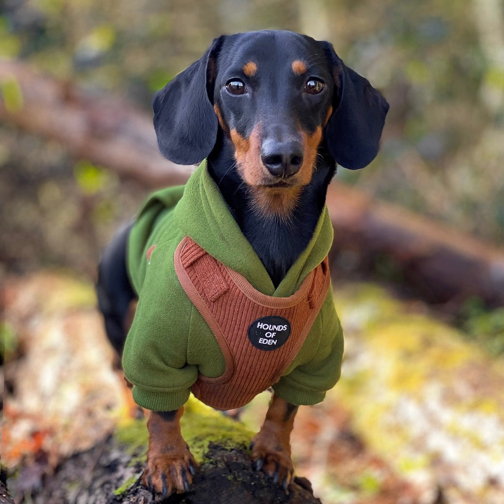 Dog Hoodie - Black - The Bark Market