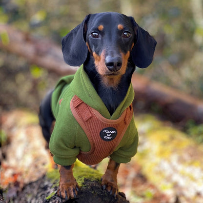 Dog Hoodie - Black - The Bark Market
