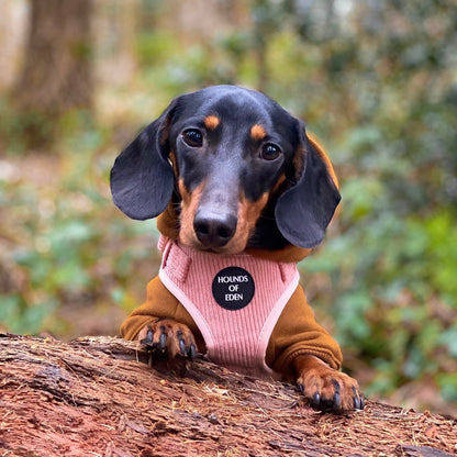Dog Hoodie - Brown - The Bark Market