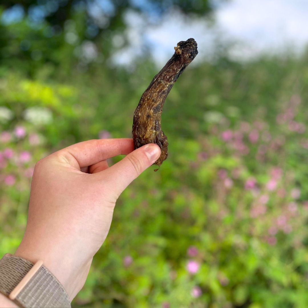 Chicken Necks Natural Dog Treat - The Bark Market