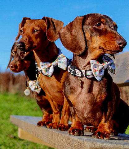 Doggy in the Window Design Dog Bow Tie - The Bark Market