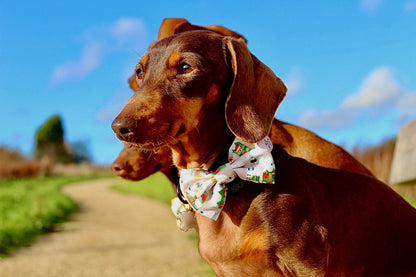 Doggy in the Window Design Dog Bow Tie - The Bark Market