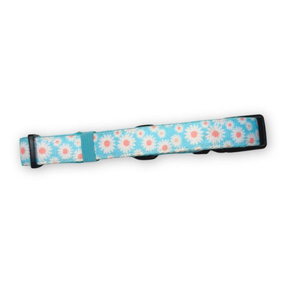 Collar - Pastel Daisy - The Bark Market