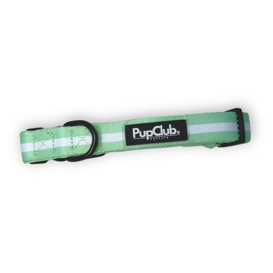 Collar - Pastel Mint - The Bark Market